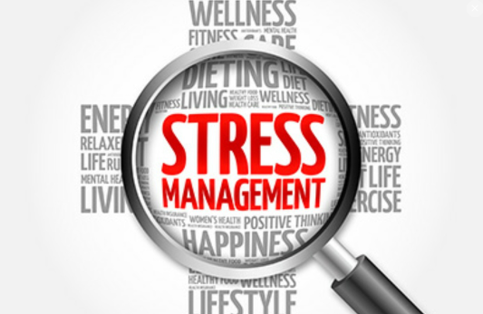 What are the Five Stress Management Techniques