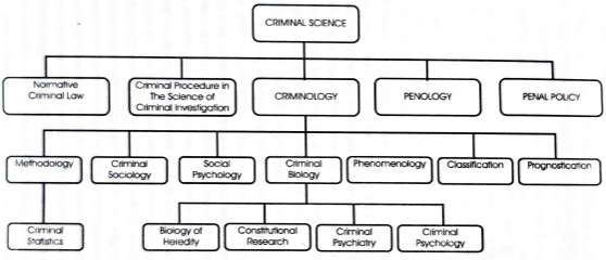 Scope and Definition of Criminology