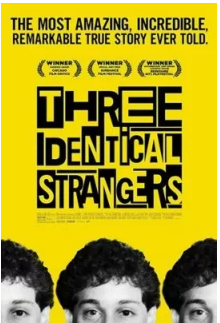 Three Identical Strangers (2018)