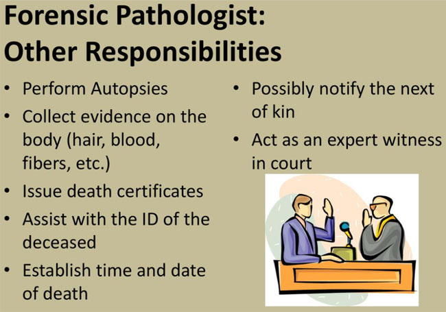 Forensic Pathologist other Responsibilities