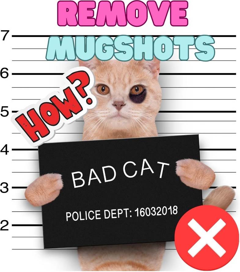 How to Remove Mugshots